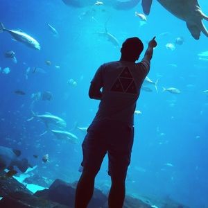 Meet your Posher, Huiliang